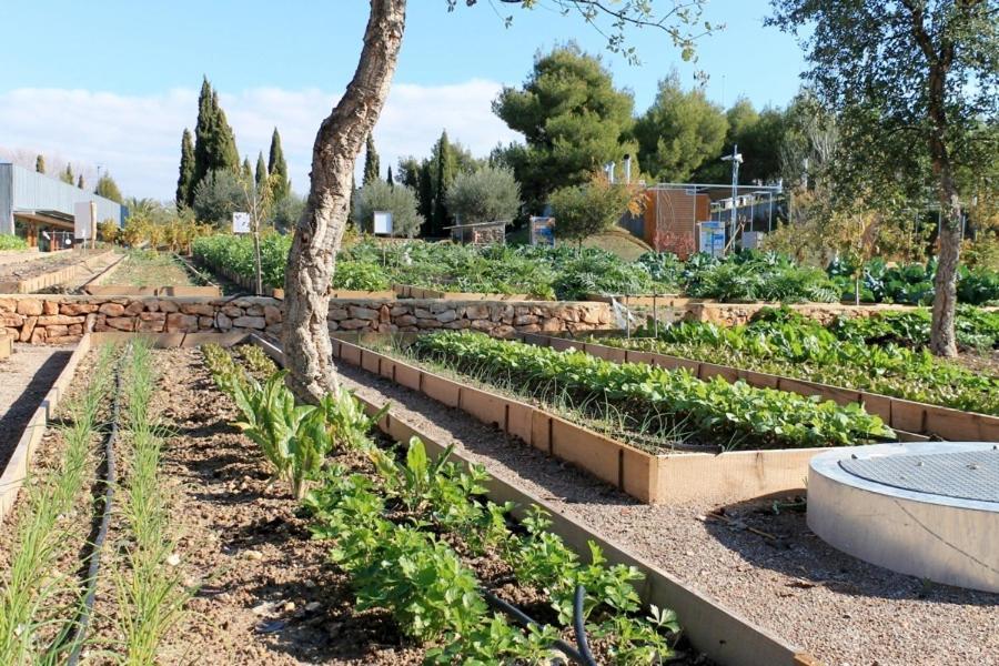 Centro De Agroecologia Y Medio Ambiente De Murcia Bullas Buitenkant foto