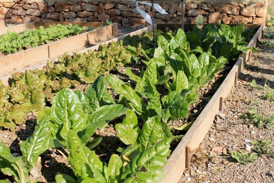 Centro De Agroecologia Y Medio Ambiente De Murcia Bullas Buitenkant foto