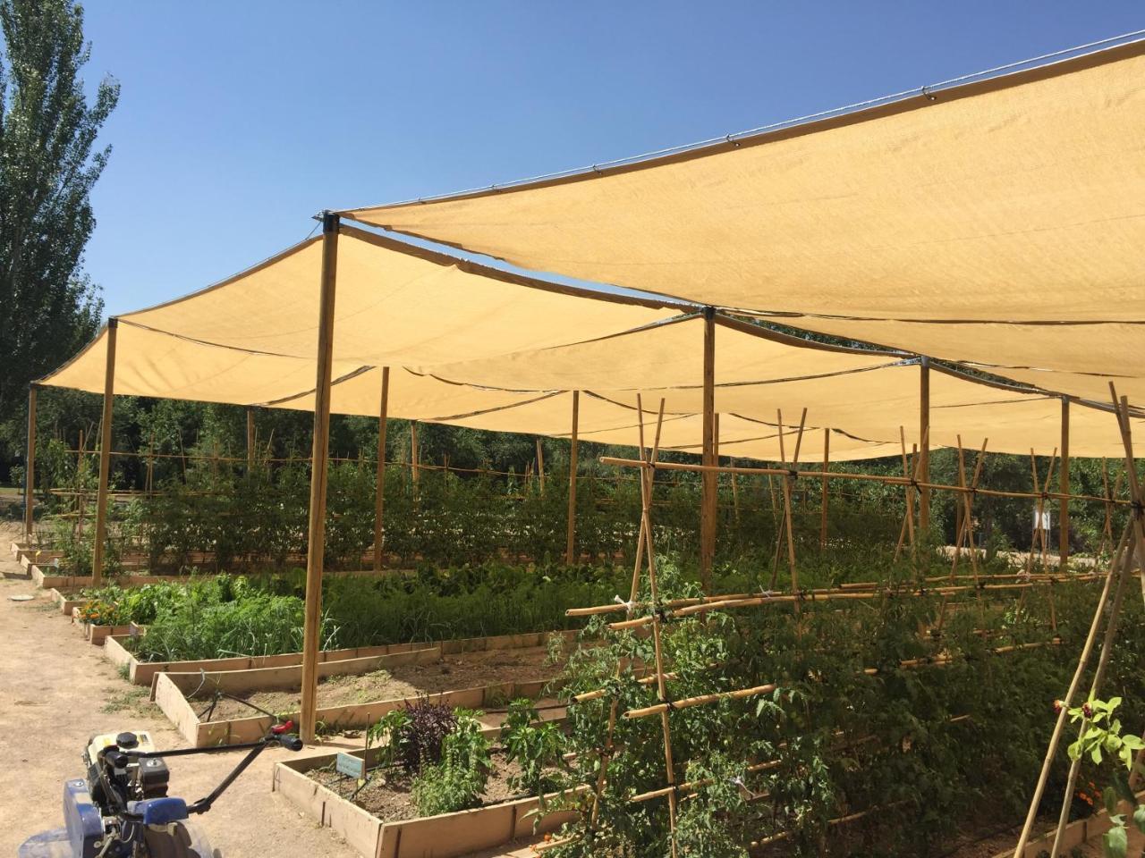 Centro De Agroecologia Y Medio Ambiente De Murcia Bullas Buitenkant foto