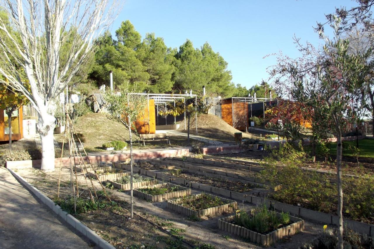 Centro De Agroecologia Y Medio Ambiente De Murcia Bullas Buitenkant foto