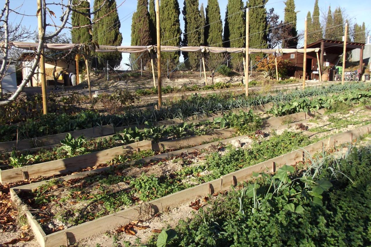 Centro De Agroecologia Y Medio Ambiente De Murcia Bullas Buitenkant foto